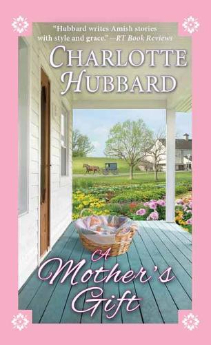 Бумажная книга «A Mother's Gift», автор Шарлотта Хаббард - фото №1