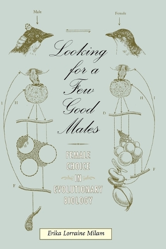 Бумажная книга «Looking for a Few Good Males: Female Choice in Evolutionary Biology», автор Эрика Л. Милам - фото №1