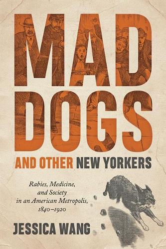 Paper book «Mad Dogs and Other New Yorkers: Rabies, Medicine, and Society in an American Metropolis, 1840–1920», author Jessica Wang - фото №1