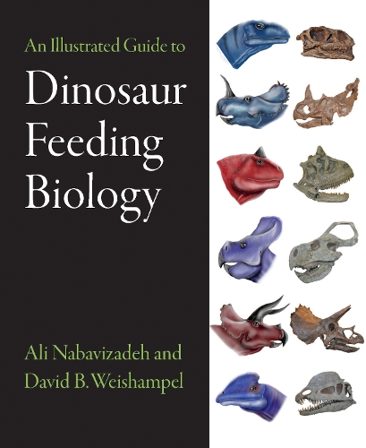 Бумажная книга «An Illustrated Guide to Dinosaur Feeding Biology», авторов Али Набавизаде, Дэвид Б. Вайшампель - фото №1