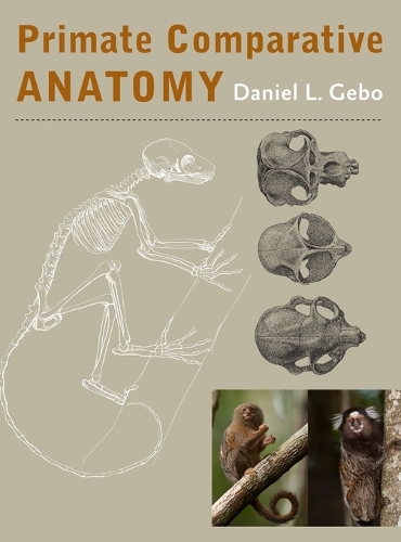 Бумажная книга «Primate Comparative Anatomy», автор Дэниел Л. Гебо - фото №1