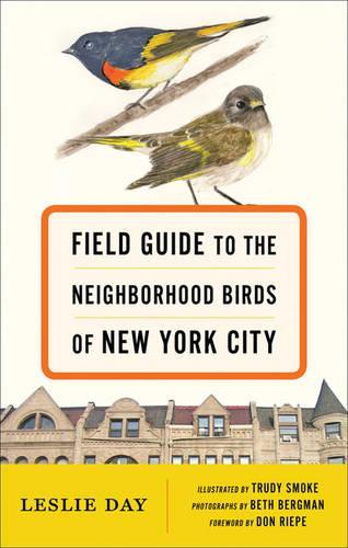 Бумажная книга «Field Guide to the Neighborhood Birds of New York City», авторов Дон Рипе, Лесли Дэй - фото №1