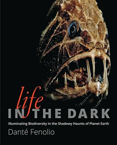 Бумажная книга «Life in the Dark: Illuminating Biodiversity in the Shadowy Haunts of Planet Earth», автор Данте Фенолио - фото №1
