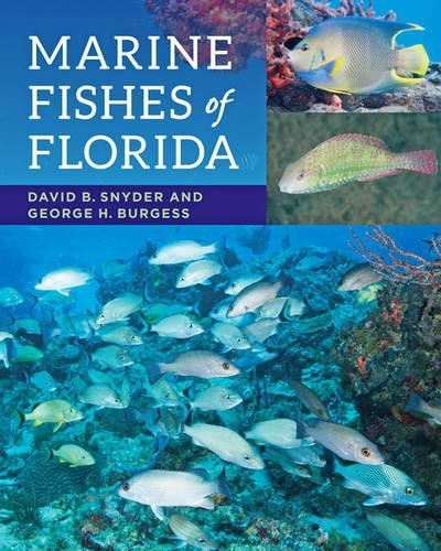 Паперова книга «Marine Fishes of Florida», авторів Девід Б. Снайдер, Джордж Х. Берджесс - фото №1