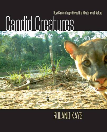 Бумажная книга «Candid Creatures: How Camera Traps Reveal the Mysteries of Nature», автор Роланд Кейс - фото №1