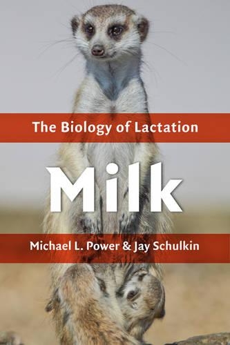 Бумажная книга «Milk: The Biology of Lactation», автор Майкл Л. Пауэр - фото №1