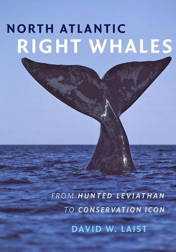 Бумажная книга «North Atlantic Right Whales: From Hunted Leviathan to Conservation Icon», автор Дэвид У. Лэйст - фото №1