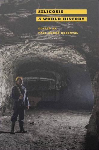 Паперова книга «Silicosis: A World History» - фото №1