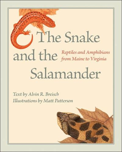 Бумажная книга «The Snake and the Salamander: Reptiles and Amphibians from Maine to Virginia», автор Элвин Р. Брейш - фото №1