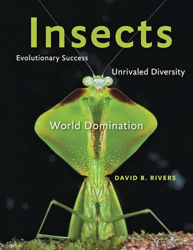 Бумажная книга «Insects: Evolutionary Success, Unrivaled Diversity, and World Domination», автор Дэвид Б. Риверс - фото №1