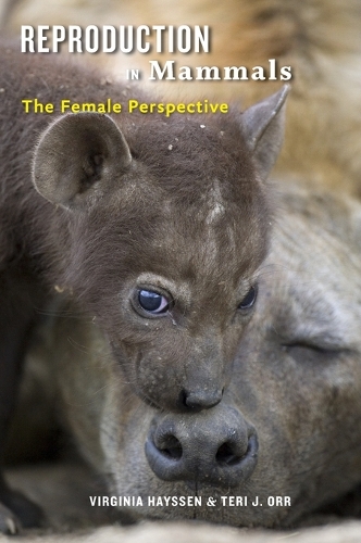 Бумажная книга «Reproduction in Mammals: The Female Perspective», авторов Тери Орр, Вирджиния Хейссен - фото №1