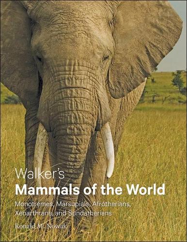 Бумажная книга «Walker's Mammals of the World: Monotremes, Marsupials, Afrotherians, Xenarthrans, and Sundatherians», автор Рональд М. Новак - фото №1