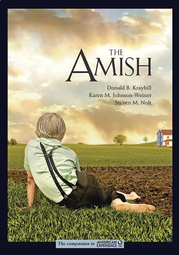 Паперова книга «The Amish», авторів Дональд Б. Крейбілл, Карен М. Джонсон-Вайнер, Стівен М. Нолт - фото №1
