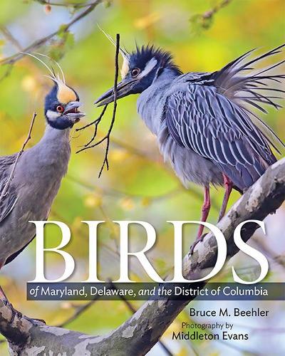 Бумажная книга «Birds of Maryland, Delaware, and the District of Columbia», автор Брюс М. Билер - фото №1