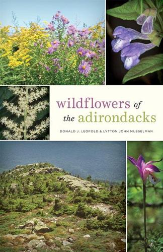 Бумажная книга «Wildflowers of the Adirondacks», авторов Дональд Дж. Леопольд, Литтон Джон Муссельман - фото №1