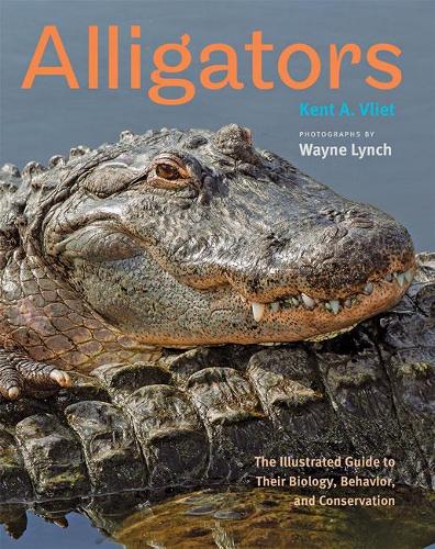 Бумажная книга «Alligators: The Illustrated Guide to Their Biology, Behavior, and Conservation», автор Кент А. Влит - фото №1