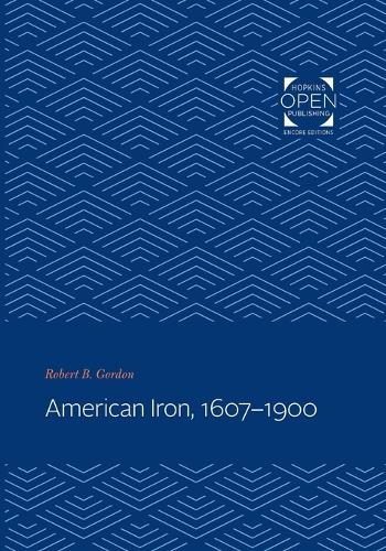 Бумажная книга «American Iron, 1607-1900», автор Роберт Б. Гордон - фото №1