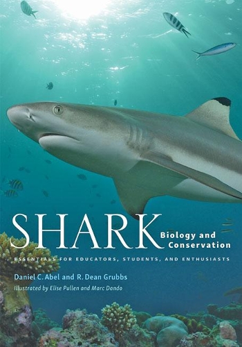 Бумажная книга «Shark Biology and Conservation: Essentials for Educators, Students, and Enthusiasts», авторов Дэниел К. Абель, Р. Дин Граббс - фото №1