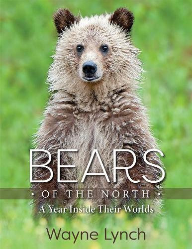 Бумажная книга «Bears of the North: A Year Inside Their Worlds», автор Уэйн Линч - фото №1