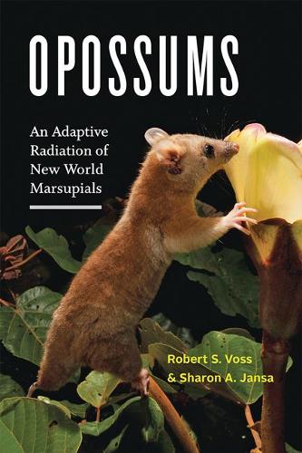 Бумажная книга «Opossums: An Adaptive Radiation of New World Marsupials», авторов Роберт С. Восс, Шарон А. Джанса - фото №1