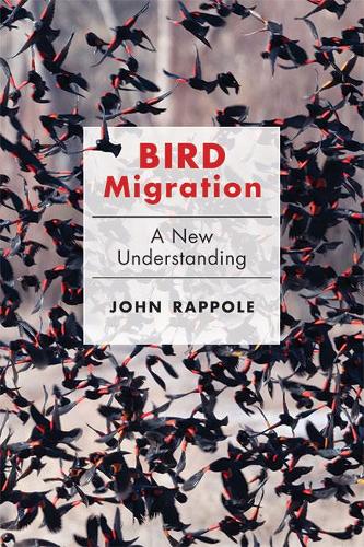 Паперова книга «Bird Migration: A New Understanding», автор Джон Х. Раппол - фото №1