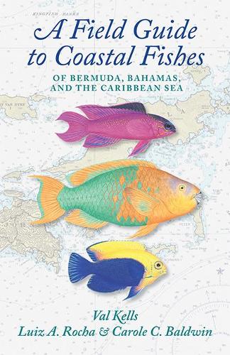 Бумажная книга «A Field Guide to Coastal Fishes of Bermuda, Bahamas, and the Caribbean Sea», авторов Кэрол К. Болдуин, Луис А. Роча, Валери А. Келлс - фото №1