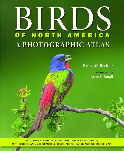 Бумажная книга «Birds of North America: A Photographic Atlas», автор Брюс М. Билер - фото №1