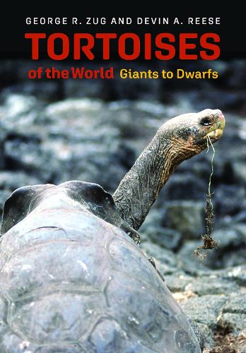 Паперова книга «Tortoises of the World: Giants to Dwarfs», автор Девін А. Різ - фото №1
