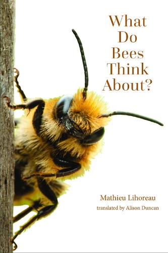 Паперова книга «What Do Bees Think About?», автор Матьє Ліхоро - фото №1