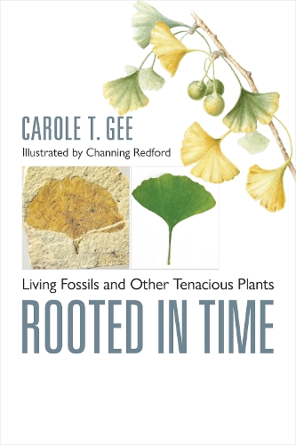 Бумажная книга «Rooted in Time: Living Fossils and Other Tenacious Plants», автор Кэрол Т. Ги - фото №1