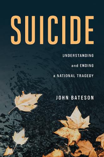 Бумажная книга «Suicide: Understanding and Ending a National Tragedy», автор Джон Бейтс - фото №1