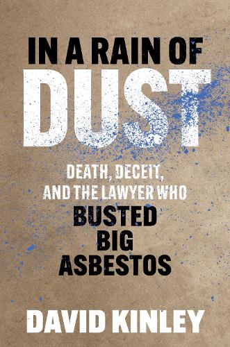 Бумажная книга «In a Rain of Dust: Death, Deceit, and the Lawyer Who Busted Big Asbestos», автор Дэвид Кинли - фото №1