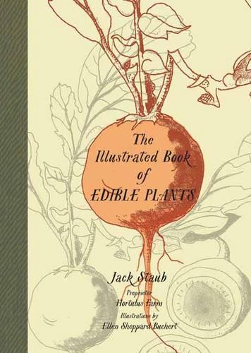 Бумажная книга «Illustrated Book of Edible Plants», автор Джек Стауб - фото №1