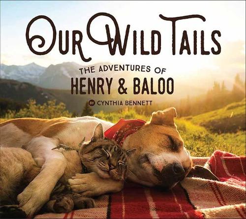 Бумажная книга «Our Wild Tails. The Adventures of Henry and Baloo», автор Синтия Беннетт - фото №1