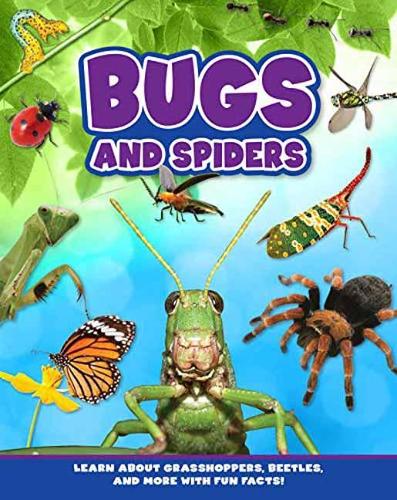 Бумажная книга «Bugs and Spiders» - фото №1