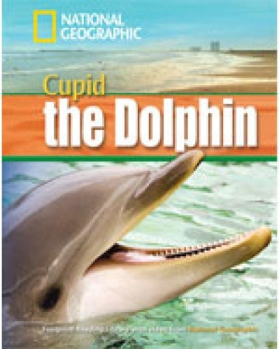 [object Object] «A Dolphin Named Cupid» - фото №1