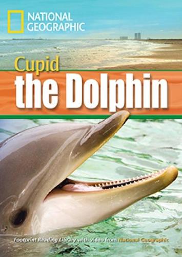 [object Object] «A Dolphin Named Cupid: Footprint Reading Library 1600», автор Роб Уоринг - фото №1
