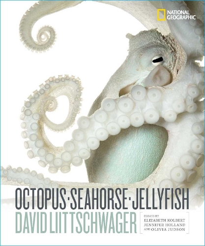 Бумажная книга «Octopus, Seahorse, Jellyfish», автор Дэвид Лийтшвагер - фото №1