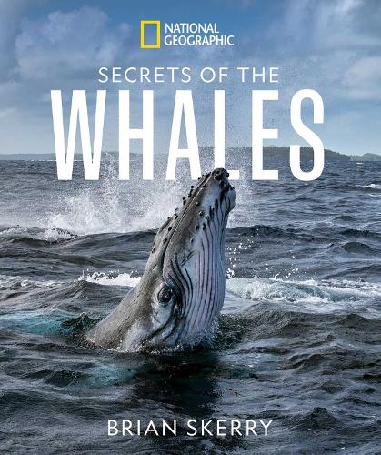 Паперова книга «Secrets of the Whales», автор Брайан Скеррі - фото №1