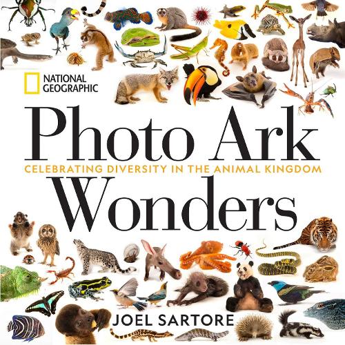 Бумажная книга «Photo Ark Wonders: Celebrating Diversity in the Animal Kingdom», автор Джоэл Сартор - фото №1