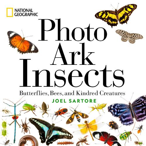 Бумажная книга «National Geographic Photo Ark Insects: Butterflies, Bees, and Kindred Creatures», автор Джоэл Сартор - фото №1