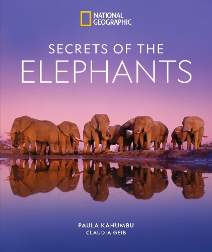 [object Object] «Secrets of the Elephants», авторов Клаудия Гейб, Пола Кахумбу - фото №1