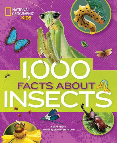Бумажная книга «1000 Facts About Insects», автор Нэнси Хонович - фото №1