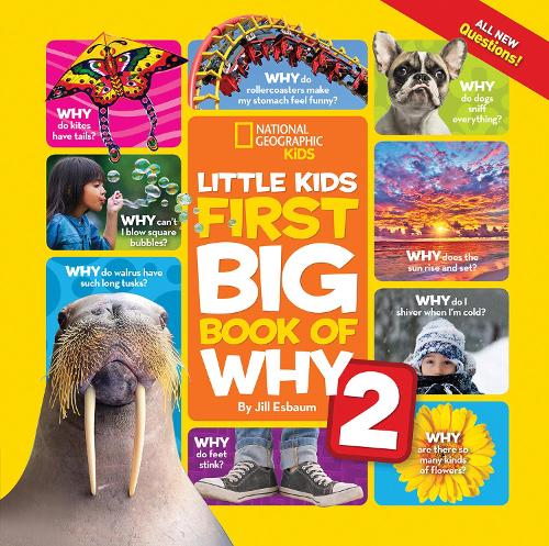 Бумажная книга «Little Kids First Big Book of Why 2», автор Джилл Эсбаум - фото №1