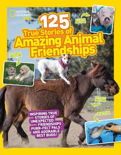 Паперова книга «125 Animal Friendships», автор Ліза М. Джеррі - фото №1