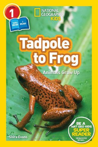 Бумажная книга «National Geographic Kids Readers: Tadpole to Frog (L1/Co-reader)», автор Шира Эванс - фото №1