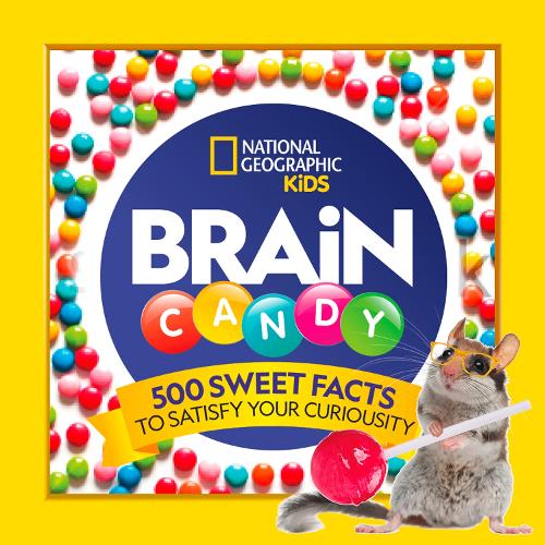 Бумажная книга «Brain Candy: 500 Sweet Facts to Satisfy Your Curiosity», автор Джули Бир - фото №1