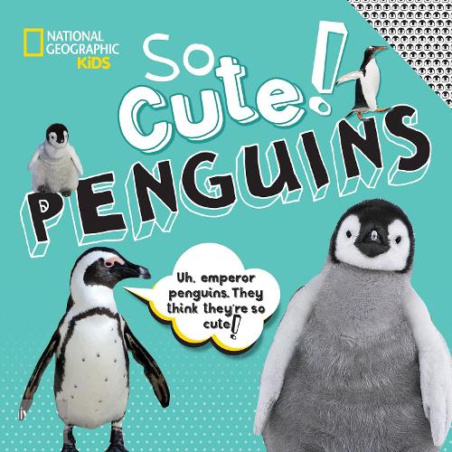 Паперова книга «So Cute: Penguins», автор Кріспін Бойєр - фото №1