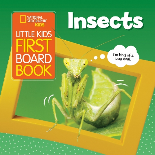 Бумажная книга «Little Kids First Board Book Insects», автор National Geographic Kids - фото №1