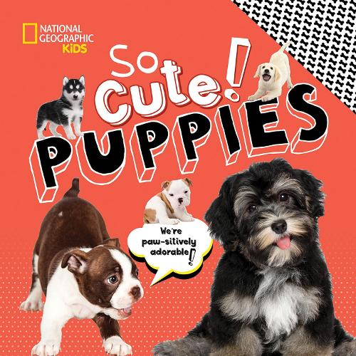 Бумажная книга «So Cute! Puppies», автор National Geographic Kids - фото №1
